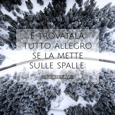 Picture 07 - Luca 15:5 RIV - E trovatala, tutto allegro se la mette sulle - Bible Verse Picture
