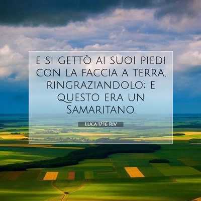 Picture 07 - Luca 17:16 RIV - e si gettò ai suoi piedi con la faccia a terra, - Bible Verse Picture