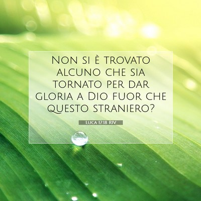Picture 07 - Luca 17:18 RIV - Non si è trovato alcuno che sia tornato per dar - Bible Verse Picture