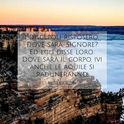 Picture 07 - Luca 17:37 RIV - I discepoli risposero: Dove sarà, Signore? Ed - Bible Verse Picture