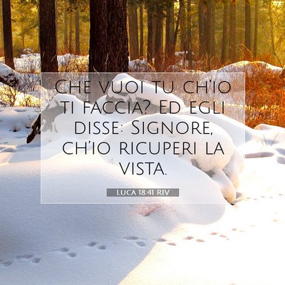 Picture 07 - Luca 18:41 RIV - Che vuoi tu ch’io ti faccia? Ed egli disse: - Bible Verse Picture