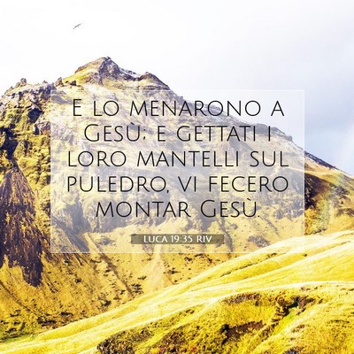 Picture 07 - Luca 19:35 RIV - E lo menarono a Gesù; e gettati i loro mantelli - Bible Verse Picture