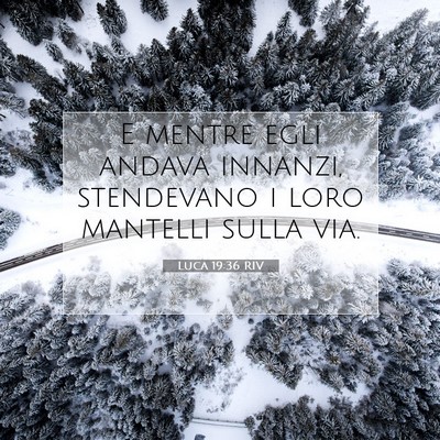 Picture 07 - Luca 19:36 RIV - E mentre egli andava innanzi, stendevano i loro - Bible Verse Picture