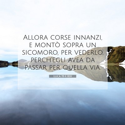 Picture 07 - Luca 19:4 RIV - Allora corse innanzi, e montò sopra un sicomoro, - Bible Verse Picture