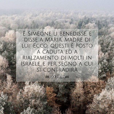 Picture 07 - Luca 2:34 RIV - E Simeone li benedisse, e disse a Maria, madre di - Bible Verse Picture