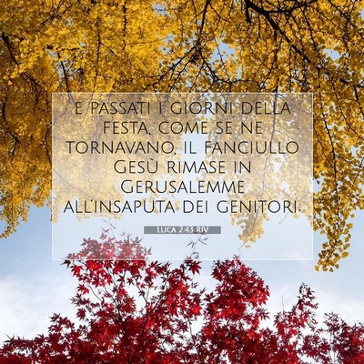 Picture 07 - Luca 2:43 RIV - e passati i giorni della festa, come se ne - Bible Verse Picture