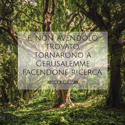 Picture 07 - Luca 2:45 RIV - e, non avendolo trovato, tornarono a Gerusalemme - Bible Verse Picture
