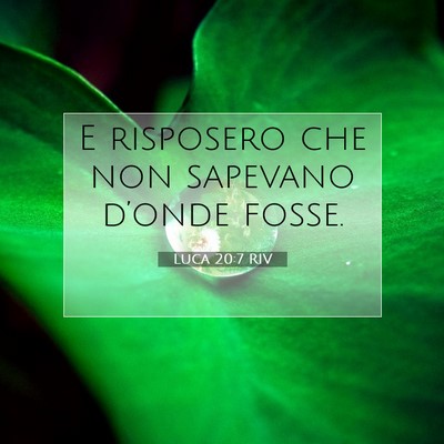 Picture 07 - Luca 20:7 RIV - E risposero che non sapevano d’onde - Bible Verse Picture