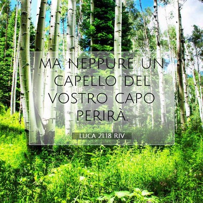 Picture 07 - Luca 21:18 RIV - ma neppure un capello del vostro capo - Bible Verse Picture