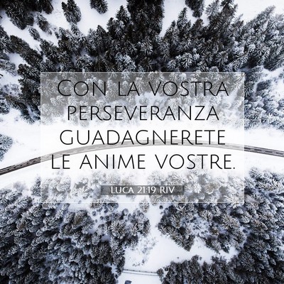 Picture 07 - Luca 21:19 RIV - Con la vostra perseveranza guadagnerete le anime - Bible Verse Picture