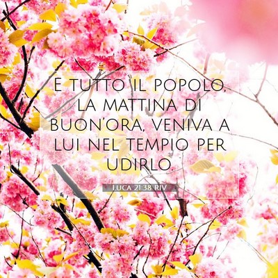 Picture 07 - Luca 21:38 RIV - E tutto il popolo, la mattina di buon’ora, - Bible Verse Picture