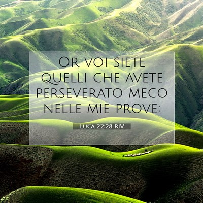 Picture 07 - Luca 22:28 RIV - Or voi siete quelli che avete perseverato meco - Bible Verse Picture