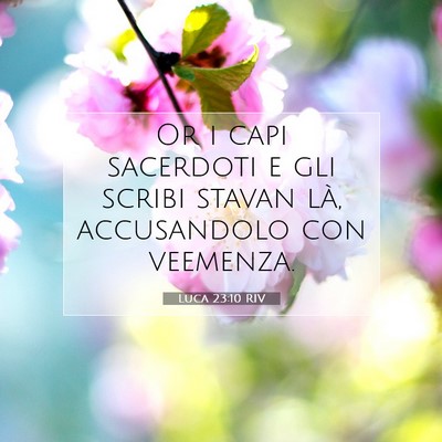 Picture 07 - Luca 23:10 RIV - Or i capi sacerdoti e gli scribi stavan là, - Bible Verse Picture
