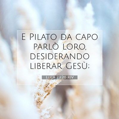 Picture 07 - Luca 23:20 RIV - E Pilato da capo parlò loro, desiderando liberar - Bible Verse Picture