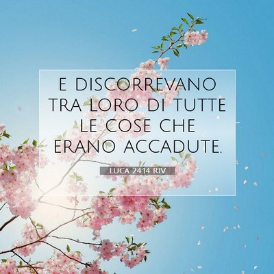 Picture 07 - Luca 24:14 RIV - e discorrevano tra loro di tutte le cose che - Bible Verse Picture