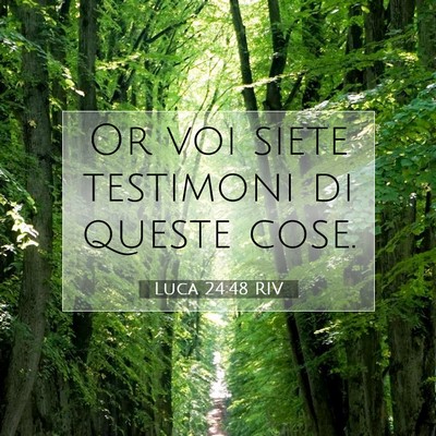 Picture 07 - Luca 24:48 RIV - Or voi siete testimoni di queste - Bible Verse Picture