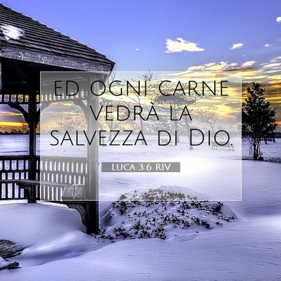 Picture 07 - Luca 3:6 RIV - ed ogni carne vedrà la salvezza di - Bible Verse Picture