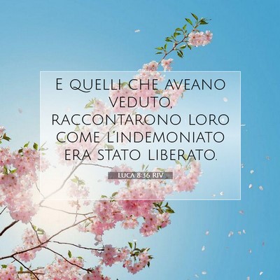 Picture 07 - Luca 8:36 RIV - E quelli che aveano veduto, raccontarono loro - Bible Verse Picture