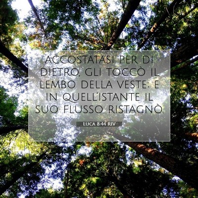 Picture 07 - Luca 8:44 RIV - accostatasi per di dietro, gli toccò il lembo - Bible Verse Picture