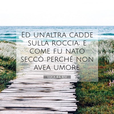 Picture 07 - Luca 8:6 RIV - Ed un’altra cadde sulla roccia; e come fu nato - Bible Verse Picture