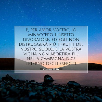 Picture 07 - Malachia 3:11 RIV - E, per amor vostro, io minaccerò l’insetto - Bible Verse Picture
