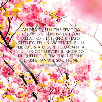Picture 07 - Malachia 3:16 RIV - Allora quelli che temono l’Eterno si son - Bible Verse Picture