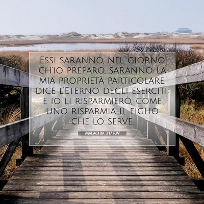 Picture 07 - Malachia 3:17 RIV - Essi saranno, nel giorno ch’io preparo, saranno - Bible Verse Picture