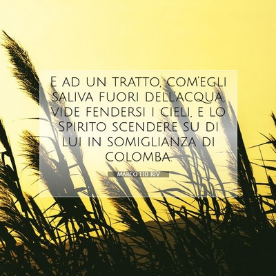 Picture 07 - Marco 1:10 RIV - E ad un tratto, com’egli saliva fuori - Bible Verse Picture