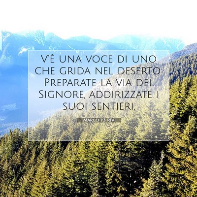 Picture 07 - Marco 1:3 RIV - V’è una voce di uno che grida nel deserto: - Bible Verse Picture