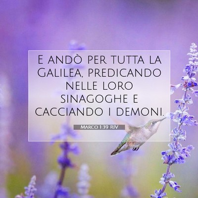Picture 07 - Marco 1:39 RIV - E andò per tutta la Galilea, predicando nelle - Bible Verse Picture