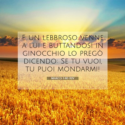 Picture 07 - Marco 1:40 RIV - E un lebbroso venne a lui e buttandosi in - Bible Verse Picture