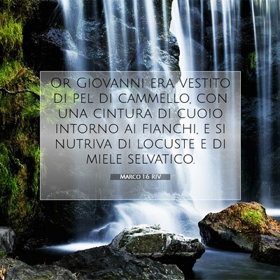 Picture 07 - Marco 1:6 RIV - Or Giovanni era vestito di pel di cammello, con - Bible Verse Picture