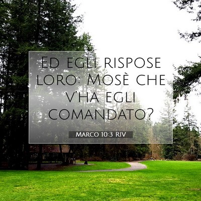Picture 07 - Marco 10:3 RIV - Ed egli rispose loro: Mosè che v’ha egli - Bible Verse Picture