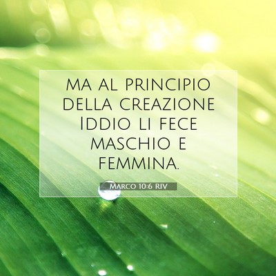 Picture 07 - Marco 10:6 RIV - ma al principio della creazione Iddio li fece - Bible Verse Picture