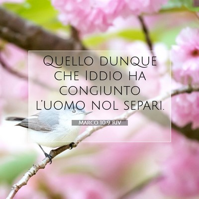 Picture 07 - Marco 10:9 RIV - Quello dunque che Iddio ha congiunto l’uomo nol - Bible Verse Picture