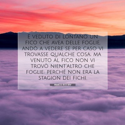 Picture 07 - Marco 11:13 RIV - E veduto di lontano un fico che avea delle - Bible Verse Picture