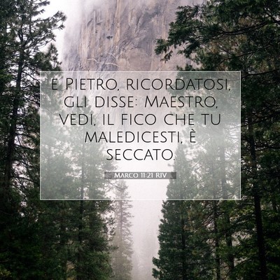Picture 07 - Marco 11:21 RIV - e Pietro, ricordatosi, gli disse: Maestro, vedi, - Bible Verse Picture