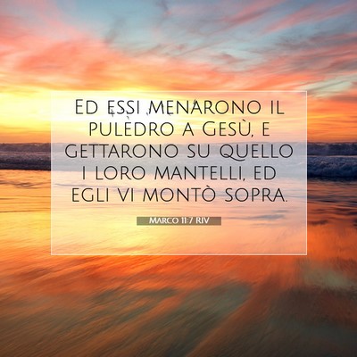 Picture 07 - Marco 11:7 RIV - Ed essi menarono il puledro a Gesù, e gettarono - Bible Verse Picture