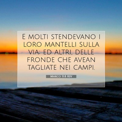 Picture 07 - Marco 11:8 RIV - E molti stendevano i loro mantelli sulla via; ed - Bible Verse Picture