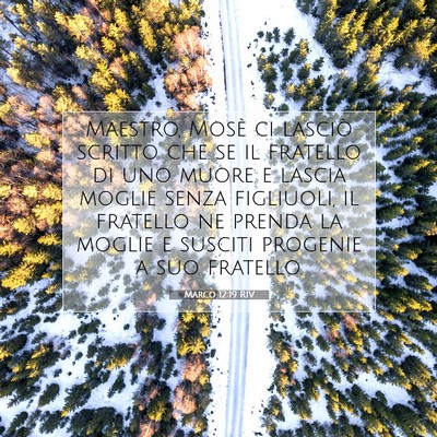 Picture 07 - Marco 12:19 RIV - Maestro, Mosè ci lasciò scritto che se il - Bible Verse Picture