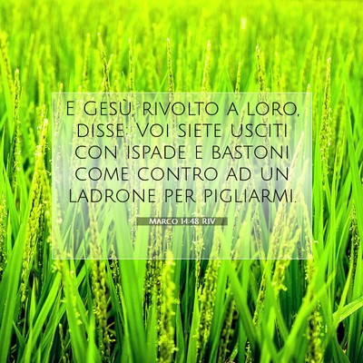 Picture 07 - Marco 14:48 RIV - E Gesù, rivolto a loro, disse: Voi siete usciti - Bible Verse Picture
