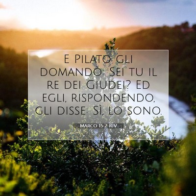 Picture 07 - Marco 15:2 RIV - E Pilato gli domandò: Sei tu il re dei Giudei? - Bible Verse Picture