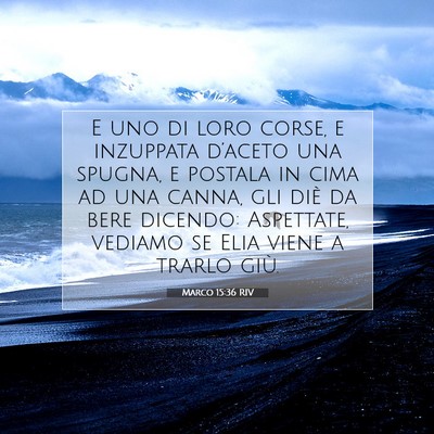 Picture 07 - Marco 15:36 RIV - E uno di loro corse, e inzuppata d’aceto una - Bible Verse Picture
