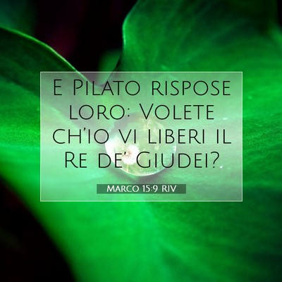 Picture 07 - Marco 15:9 RIV - E Pilato rispose loro: Volete ch’io vi liberi - Bible Verse Picture
