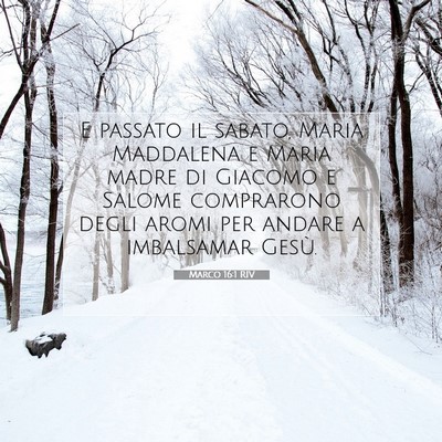 Picture 07 - Marco 16:1 RIV - E passato il sabato, Maria Maddalena e Maria - Bible Verse Picture
