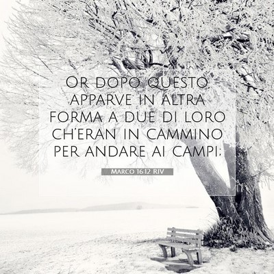 Picture 07 - Marco 16:12 RIV - Or dopo questo, apparve in altra forma a due di - Bible Verse Picture