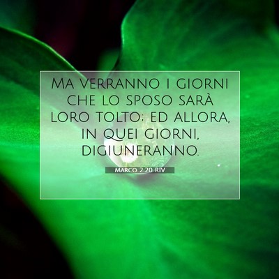 Picture 07 - Marco 2:20 RIV - Ma verranno i giorni che lo sposo sarà loro - Bible Verse Picture