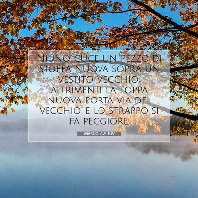 Picture 07 - Marco 2:21 RIV - Niuno cuce un pezzo di stoffa nuova sopra un - Bible Verse Picture