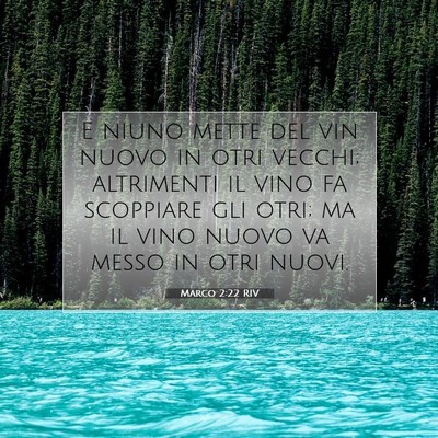 Picture 07 - Marco 2:22 RIV - E niuno mette del vin nuovo in otri vecchi; - Bible Verse Picture
