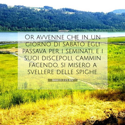 Picture 07 - Marco 2:23 RIV - Or avvenne che in un giorno di sabato egli - Bible Verse Picture